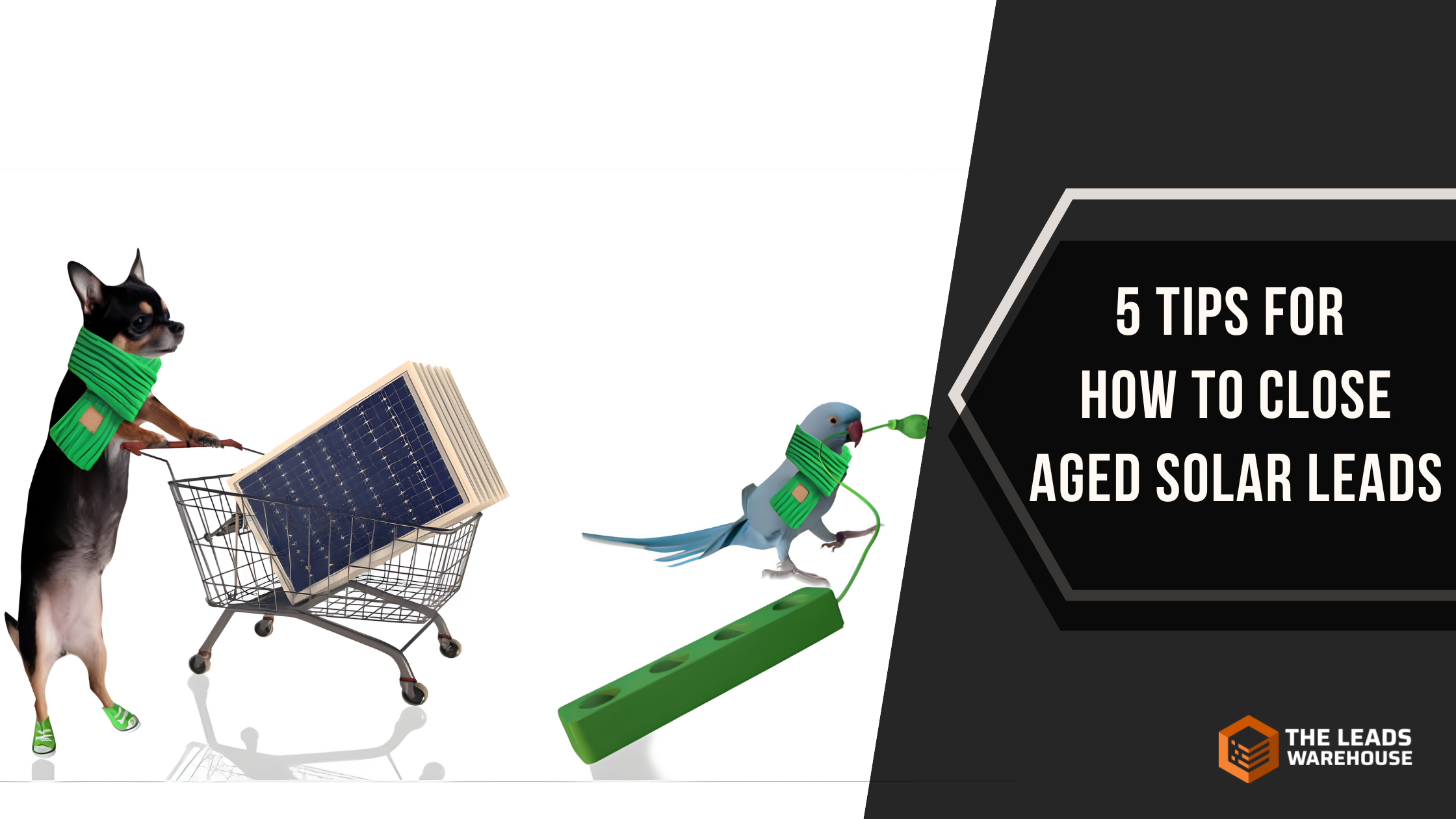 Close Aged Solar Leads | 5 Tips